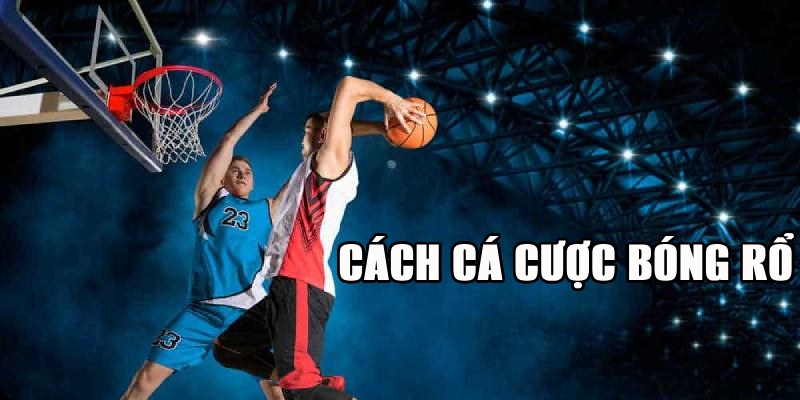 Cách chơi cá cược bóng rổ hốt bạc tiền tỷ