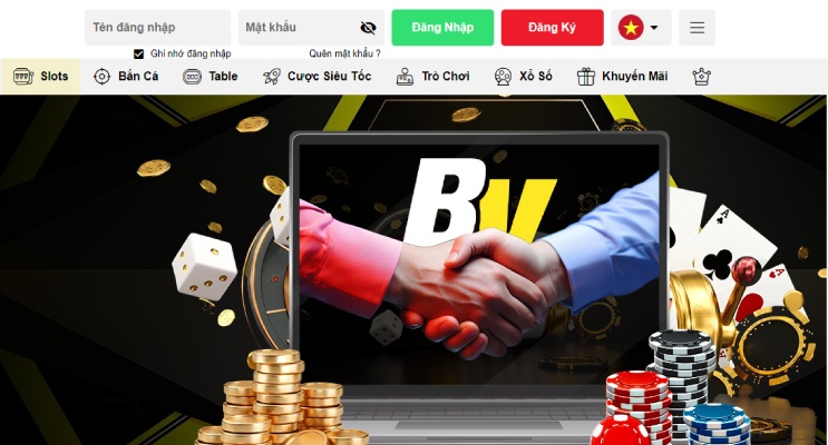 dai ly betvisa