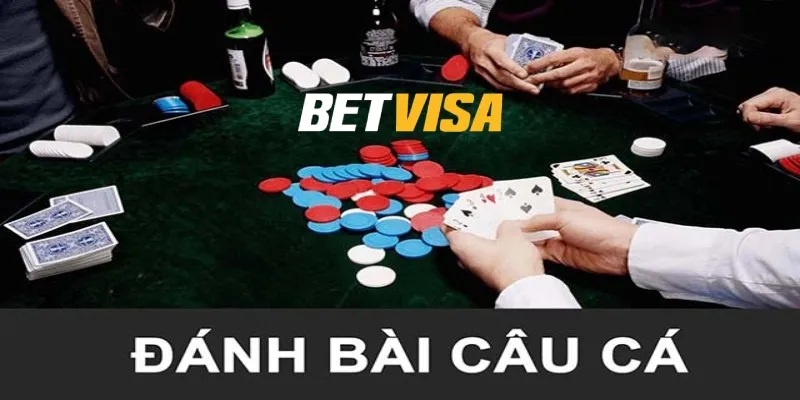 bai cau ca