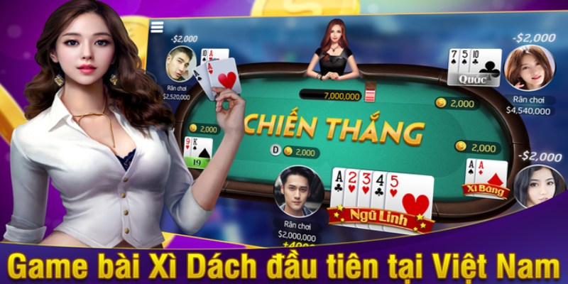 xi dach online
