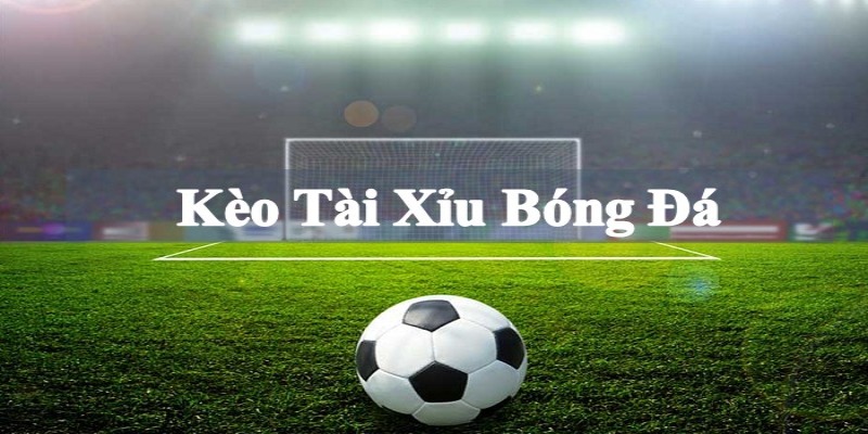 cách cá độ bóng đá tài xỉu