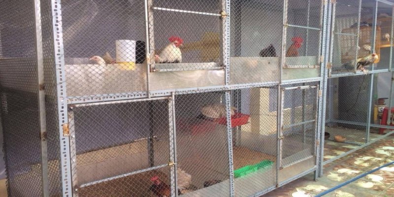 làm chuồng gà bằng kệ sắt V lỗ