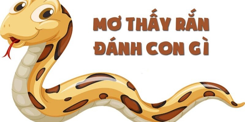nằm mơ thấy rắn đánh số gì
