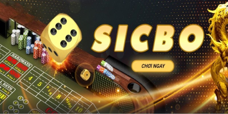 Quản lý vốn thông minh khi cược sicbo